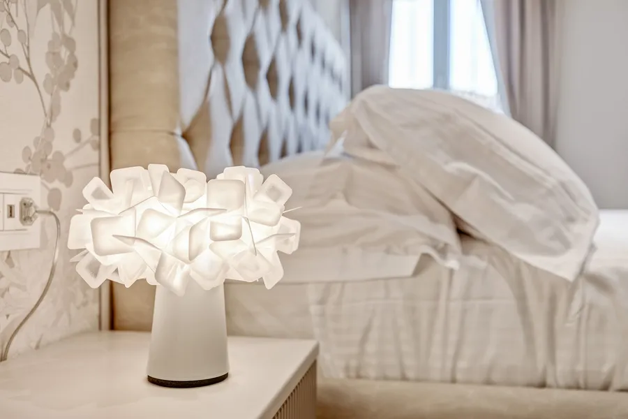 Premium Mattress and Pillows